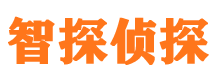 亚东市私家侦探